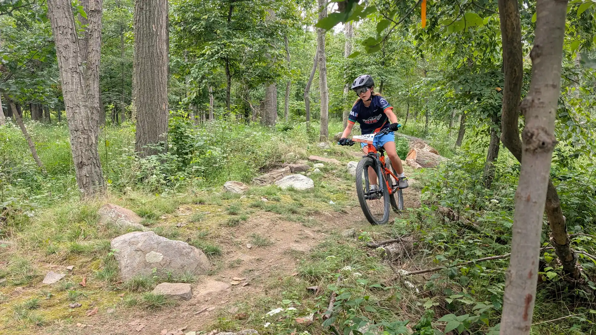 A Hershey MTB rider follows a rocky trail through green woods.